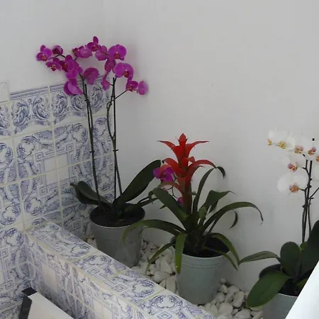 Charming Countryside 3-Bed Apartment Pool Hottub * Pêra